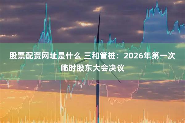 股票配资网址是什么 三和管桩：2026年第一次临时股东大会决议